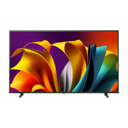 HISENSE 海信 65A6N 65吋 4K SMART TV